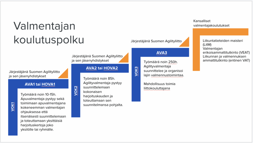 Valmentajan koulutuspolku agilityssa. Kaavio esittää neljä tasoa. Ensimmäinen taso (VOK1) sisältää AVA1- tai HOVA1-koulutuksen (10–15 tuntia), joka antaa valmiudet toimia apuvalmentajana ja toteuttaa yksittäisiä harjoituksia. Toinen taso (VOK2) sisältää AVA2- tai HOVA2-koulutuksen (85 tuntia), jolla valmentaja osaa suunnitella ja toteuttaa kokonaisen harjoituskauden. Kolmas taso (VOK3) on AVA3-koulutus (250 tuntia), jossa valmentaja pystyy suunnittelemaan ja organisoimaan valmennustoimintaa ja voi toimia liittokouluttajana. Viimeinen taso esittää kansallisia valmentajakoulutuksia, kuten liikuntatieteiden maisteri (LitM), valmentajan erikoisammattitutkinto (VEAT) ja liikunnan ja valmennuksen ammattitutkinto (entinen VAT).